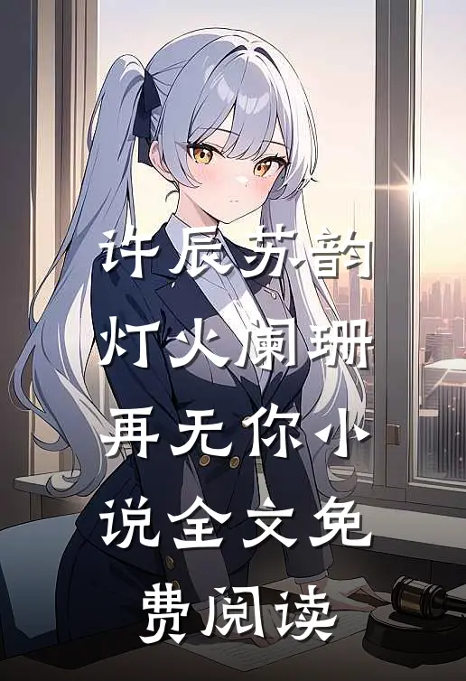 许辰苏韵灯火阑珊再无你小说全文免费阅读