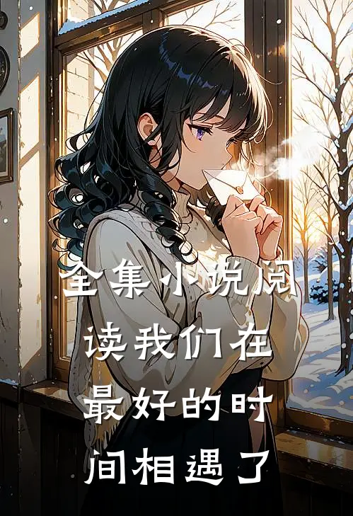 全集小说阅读我们在最好的时间相遇了