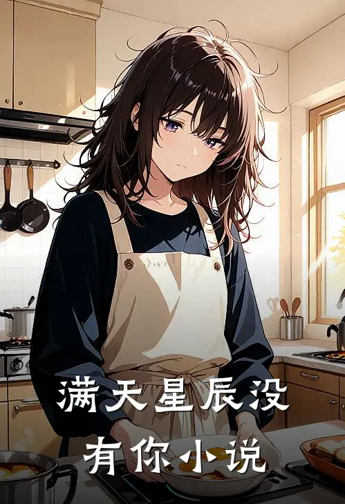 满天星辰没有你小说