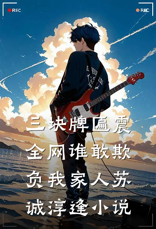 三块牌匾震全网谁敢欺负我家人苏诚淳逢小说