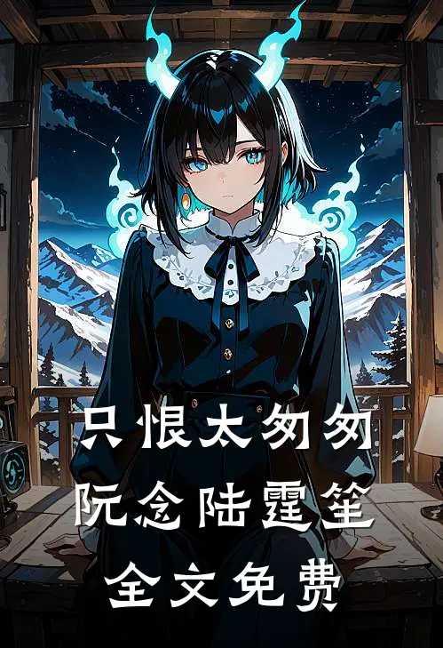 只恨太匆匆阮念陆霆笙全文免费
