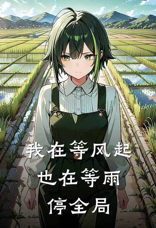 我在等风起,也在等雨停全局免费阅读