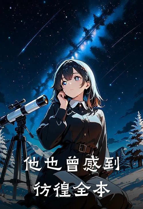 他也曾感到彷徨全本