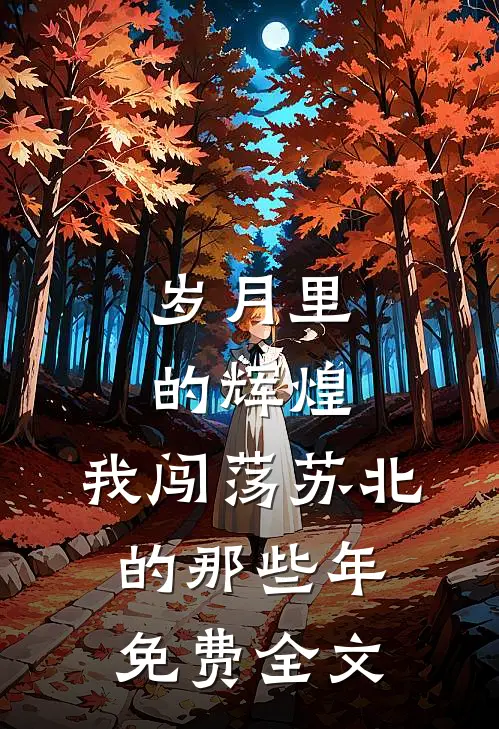 岁月里的辉煌：我闯荡苏北的那些年免费全文