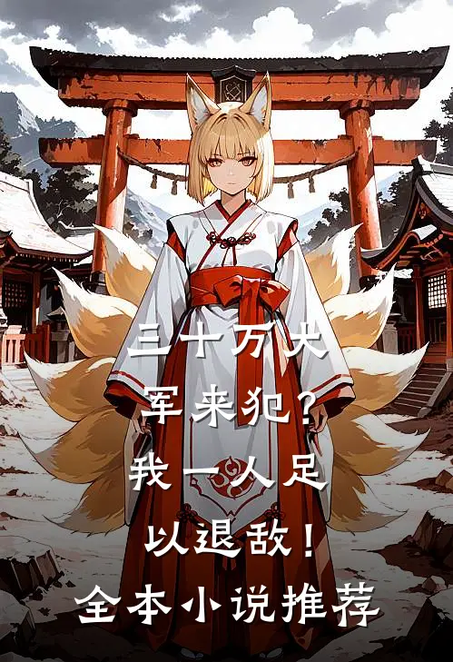 三十万大军来犯？我一人足以退敌！全本小说推荐