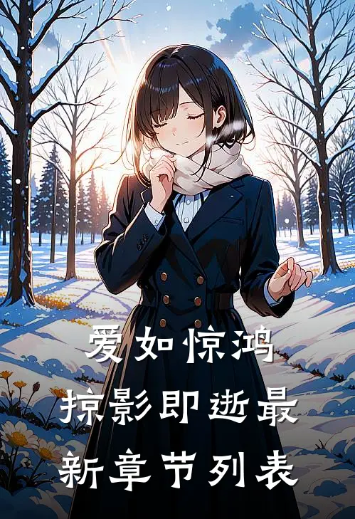 爱如惊鸿，掠影即逝最新章节列表
