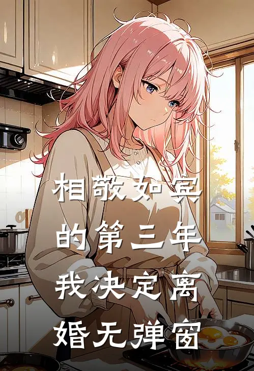 相敬如宾的第三年，我决定离婚无弹窗