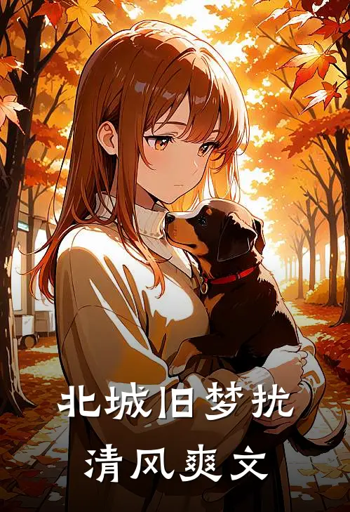 北城旧梦扰清风爽文