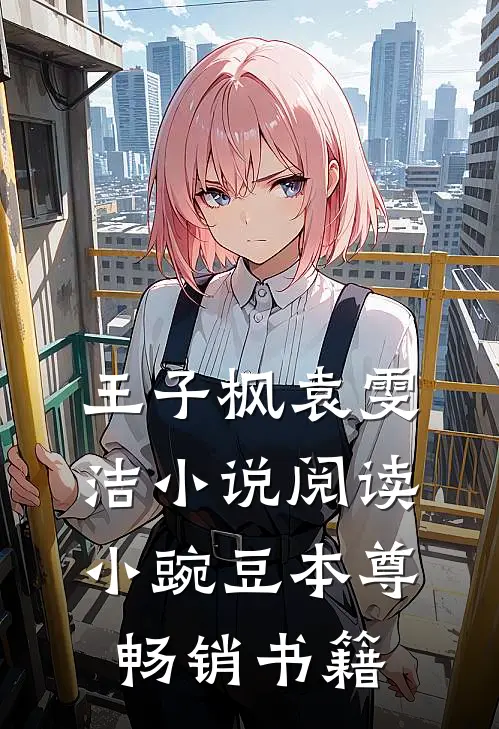 王子枫袁雯洁小说阅读小豌豆本尊畅销书籍