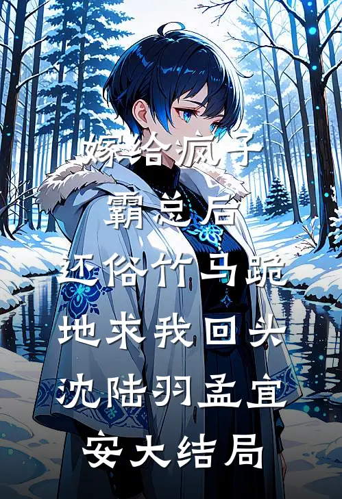 嫁给疯子霸总后，还俗竹马跪地求我回头沈陆羽孟宜安大结局