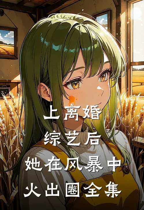 上离婚综艺后，她在风暴中火出圈全集