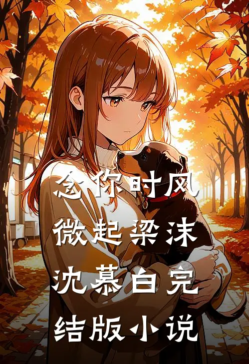念你时风微起梁沫沈慕白完结版小说