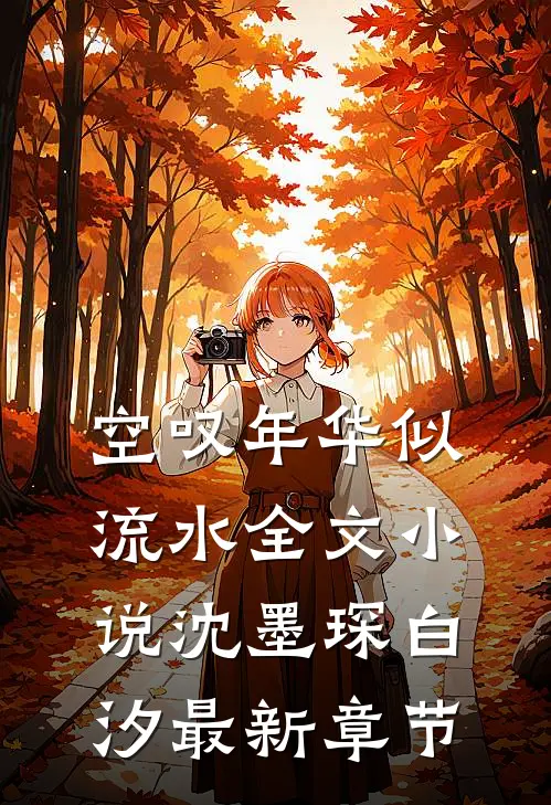 空叹年华似流水全文小说沈墨琛白汐最新章节