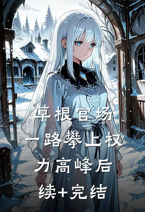 草根官场：一路攀上权力高峰后续+完结