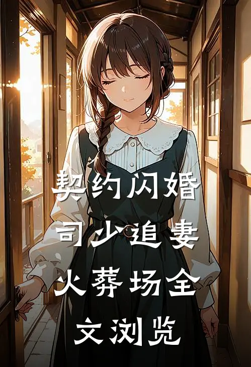 契约闪婚：司少追妻火葬场全文浏览