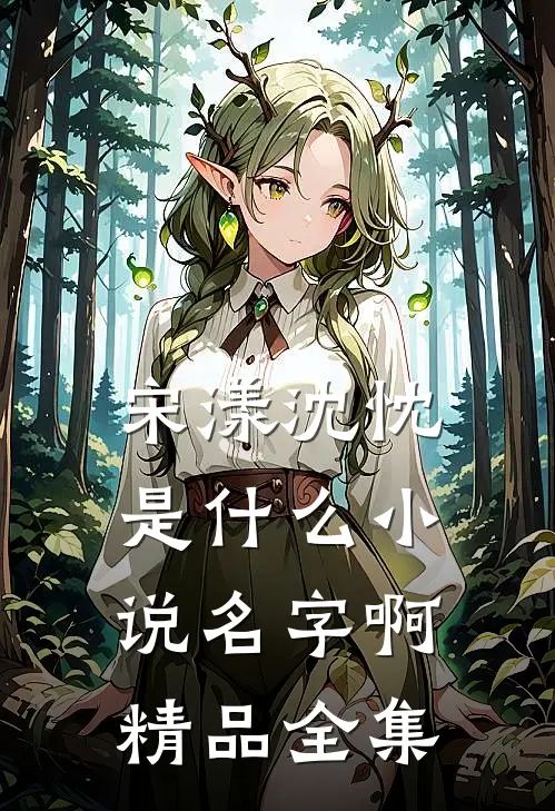宋漾沈忱是什么小说名字啊精品全集