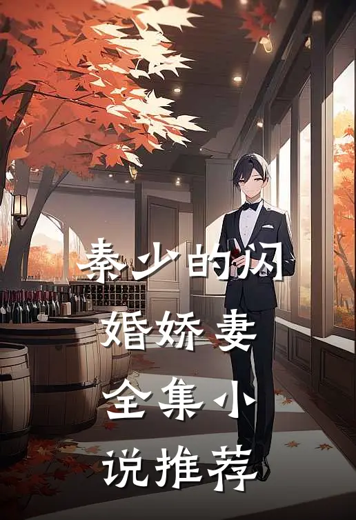 秦少的闪婚娇妻全集小说推荐
