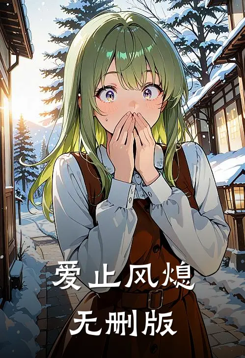 爱止风熄无删版