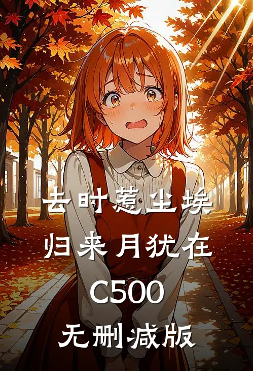 去时惹尘埃，归来月犹在C500无删减版