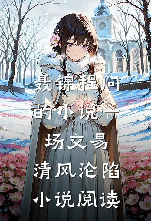 聂锦程问的小说一场交易，清风沦陷小说阅读