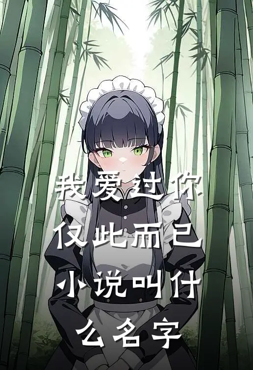 我爱过你，仅此而已小说叫什么名字