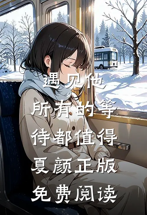 遇见他，所有的等待都值得夏颜正版免费阅读