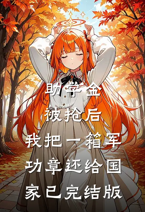 助学金被抢后，我把一箱军功章还给国家已完结版