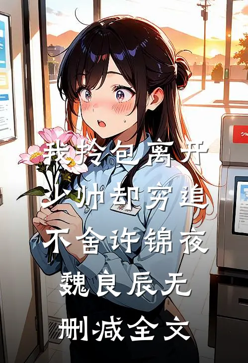 我拎包离开，少帅却穷追不舍许锦夜魏良辰无删减全文