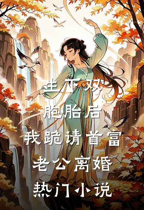 生下双胞胎后，我跪请首富老公离婚热门小说