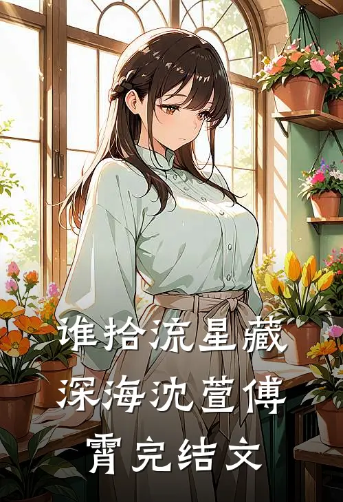 谁拾流星藏深海沈萱傅霄完结文