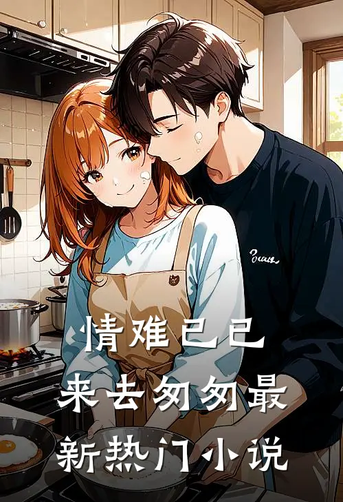 情难已已，来去匆匆最新热门小说