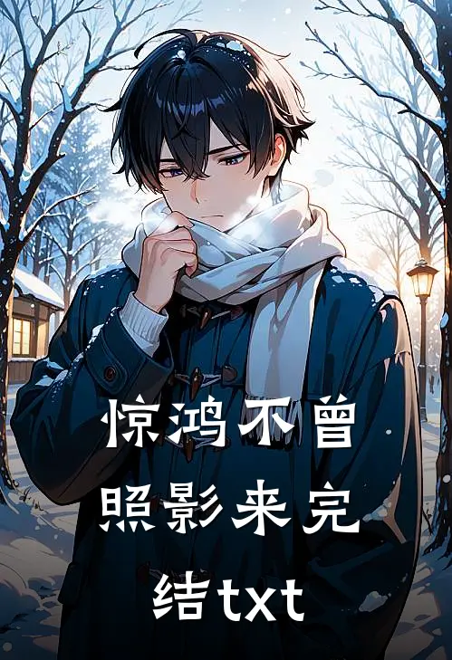 惊鸿不曾照影来完结txt