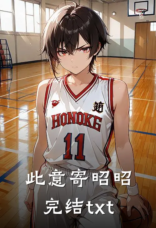 此意寄昭昭完结txt