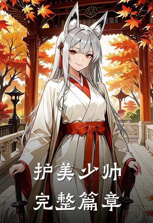 护美少帅完整篇章