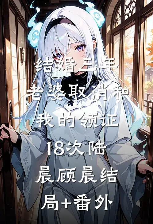 结婚三年，老婆取消和我的领证18次陆晨顾晨结局+番外