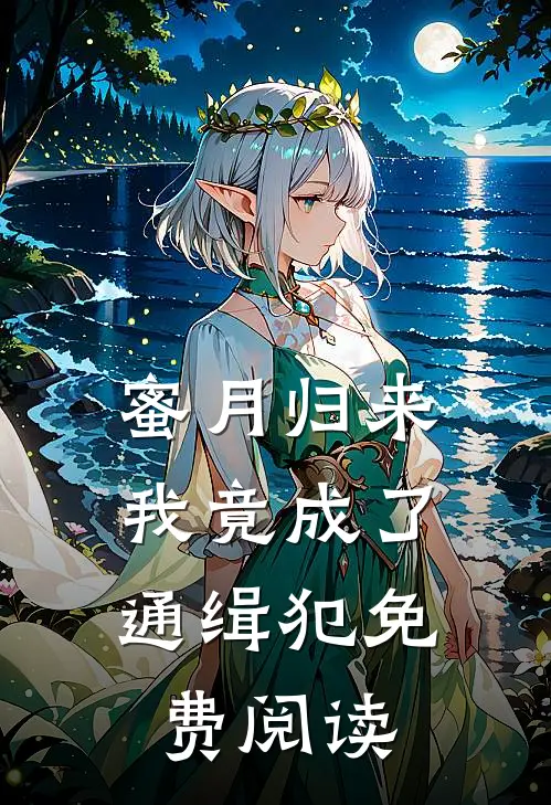 蜜月归来，我竟成了通缉犯免费阅读