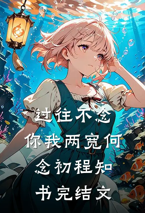 过往不念，你我两宽何念初程知书完结文