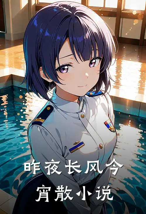 昨夜长风今宵散小说