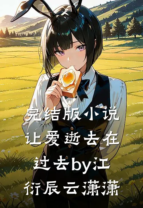 完结版小说让爱逝去在过去by江衍辰云潇潇