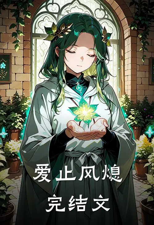 爱止风熄完结文