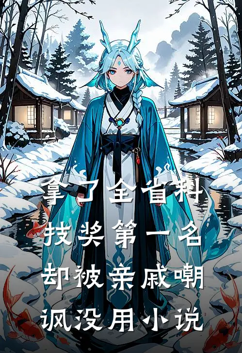 拿了全省科技奖第一名，却被亲戚嘲讽没用小说