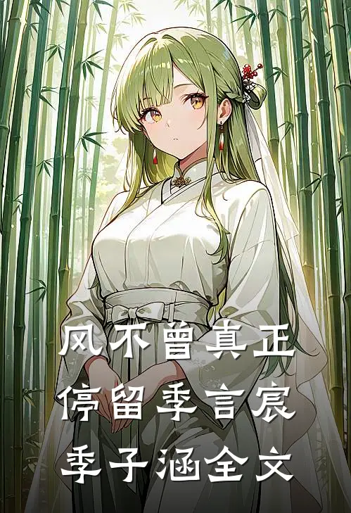 风不曾真正停留季言宸季子涵全文
