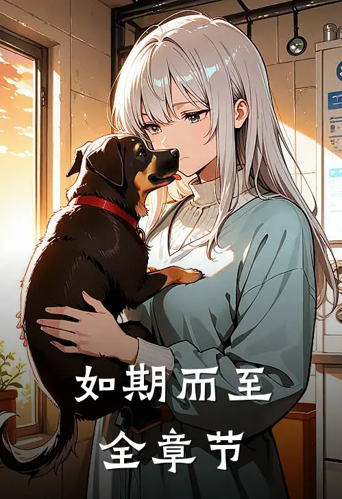 如期而至全章节