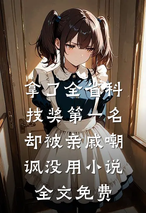 拿了全省科技奖第一名，却被亲戚嘲讽没用小说全文免费