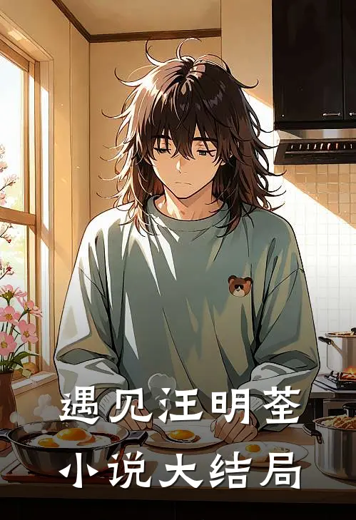 遇见汪明荃小说大结局