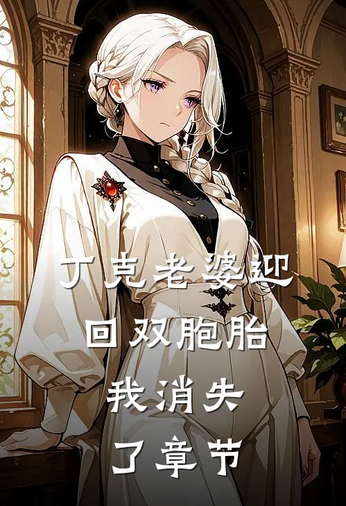 丁克老婆迎回双胞胎，我消失了章节